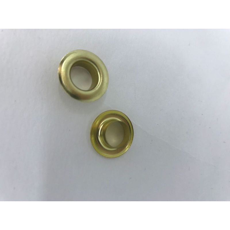 3936_20250121100646463502.jpg 3936 20250121100646463502