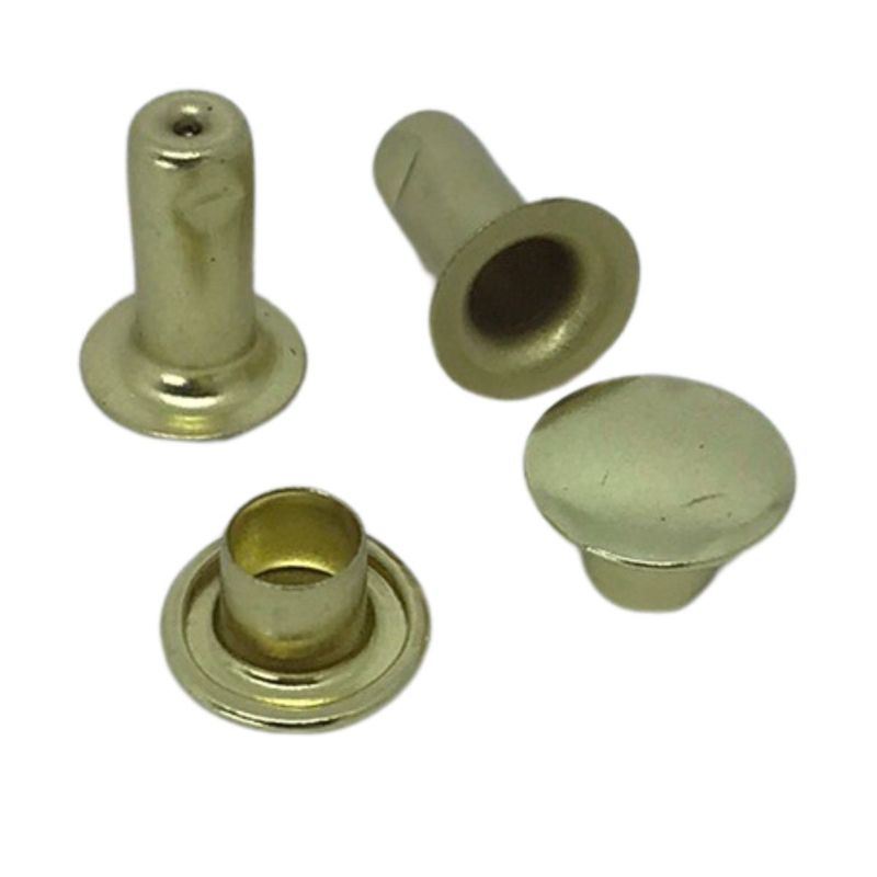 5029_20250806122527898540.jpg 5029 20250806122527898540